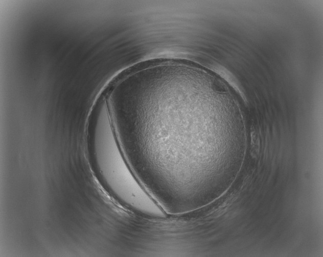 X0000072520972200607211419