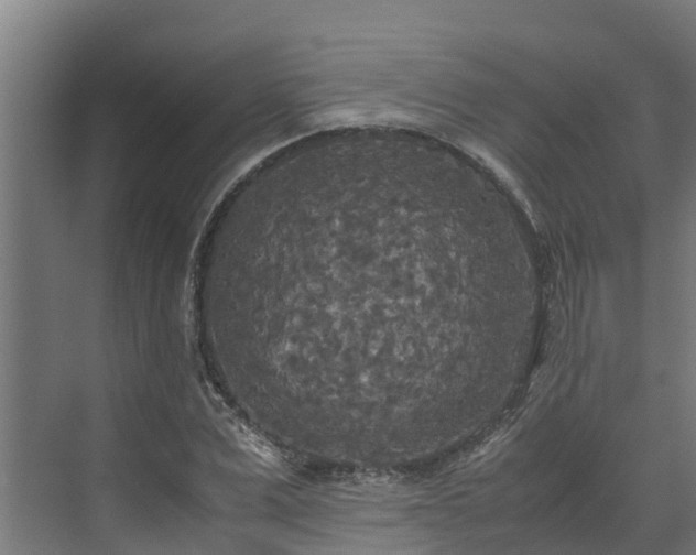 X0000072520975200607211419