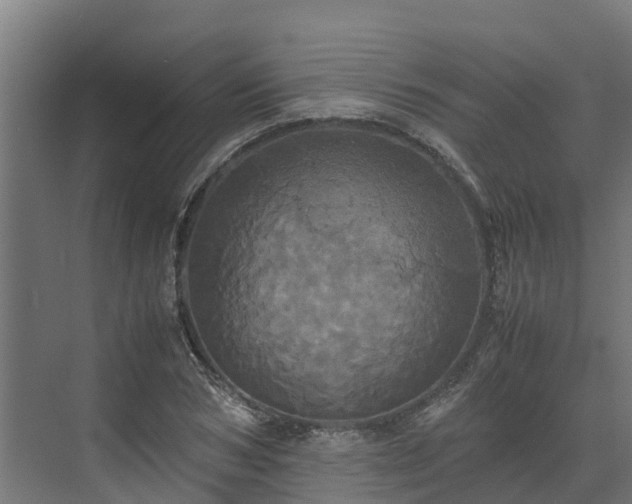 X0000072520978200607211419