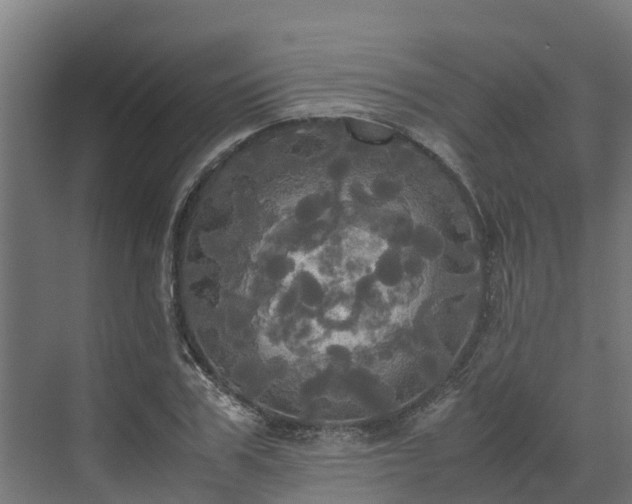 X0000072520979200607211419