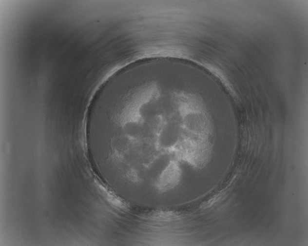 X0000072520982200607211419