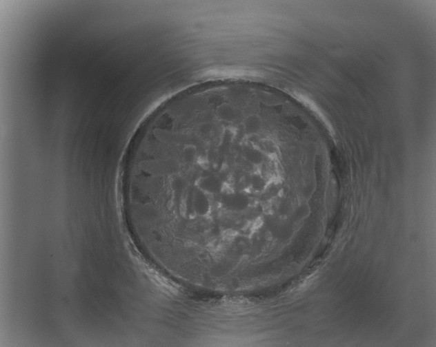 X0000072520983200607211419