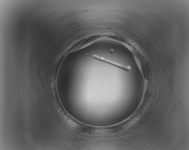 X0000072520985200607211419