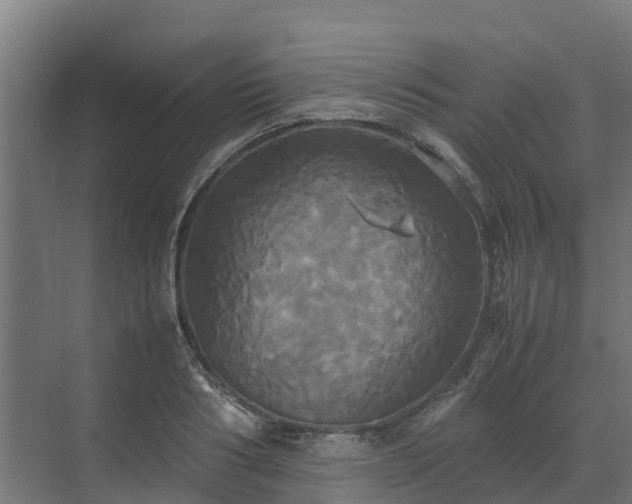 X0000072520986200607211419