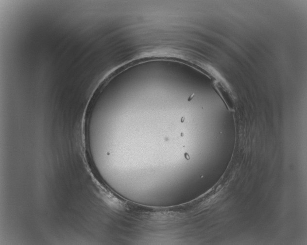 X0000072520988200607211419