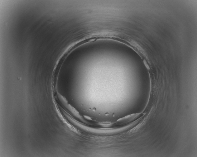 X0000072520989200607211419