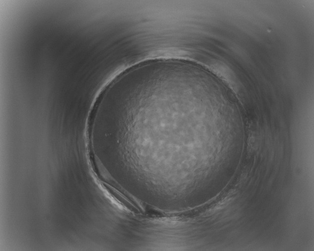 X0000072520990200607211419