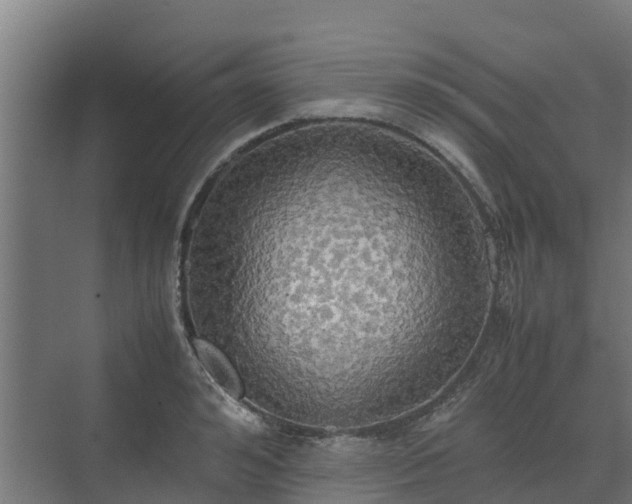 X0000072520992200607211419