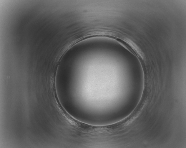 X0000072520993200607211419