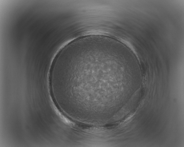 X0000072520995200607211419