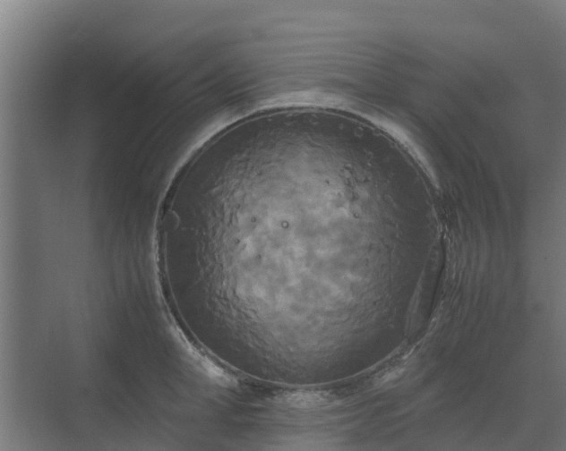 X0000072520998200607211418