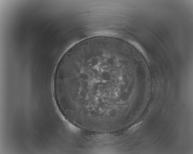 X0000072520999200607211418