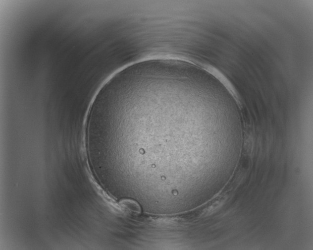 X0000072521004200607211418