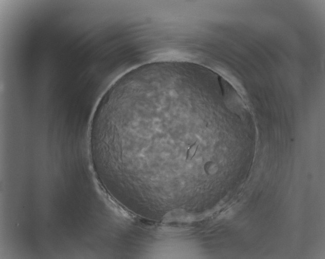 X0000072521008200607211418