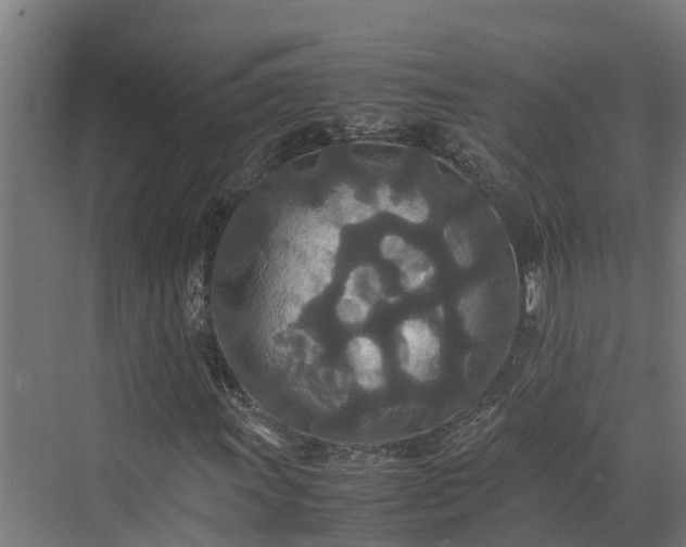 X0000072521011200607211418