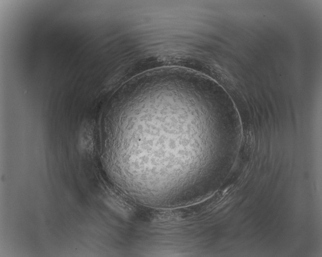 X0000072521012200607211418