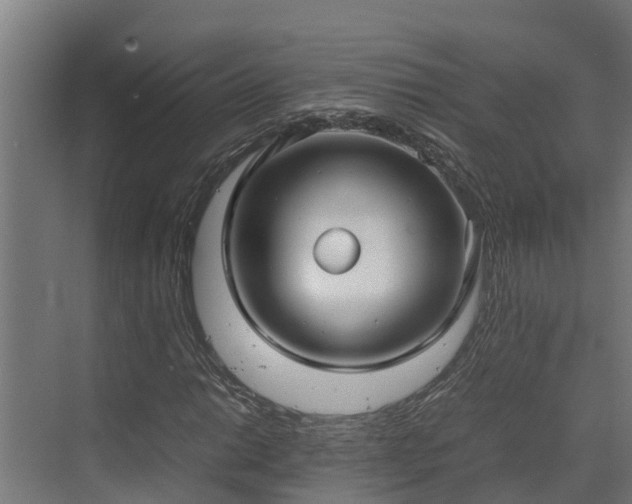 X0000072521014200607211418