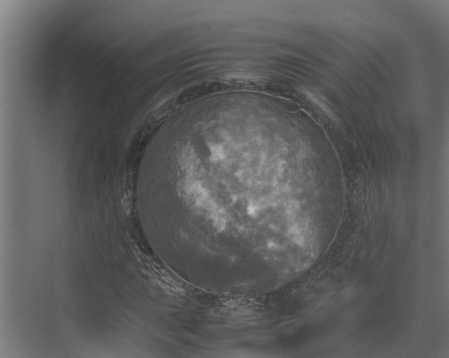 X0000072521015200607211418