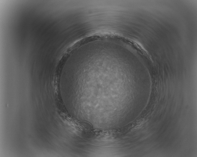 X0000072521016200607211418