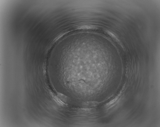 X0000072521017200607211418