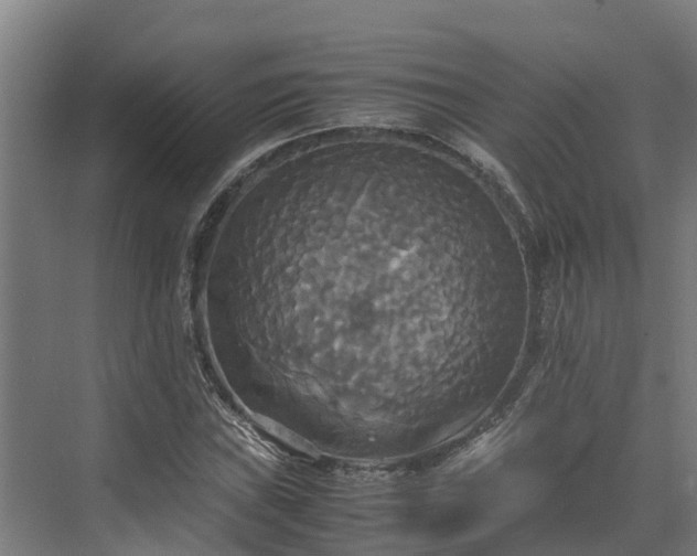 X0000072521019200607211418