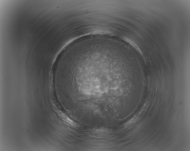 X0000072521021200607211418