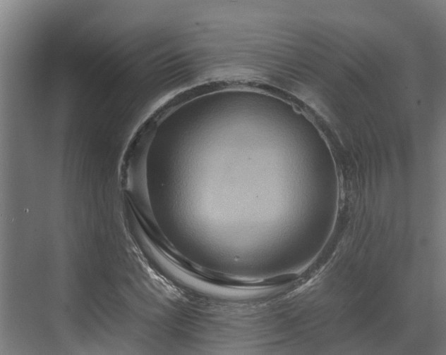 X0000072521022200607211418