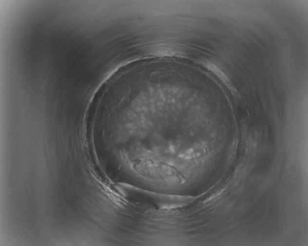 X0000072521023200607211418