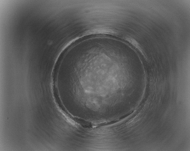 X0000072521024200607211418