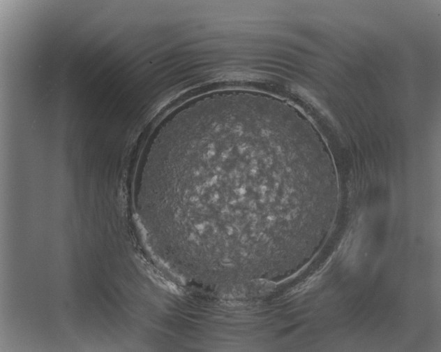 X0000072521025200607211418