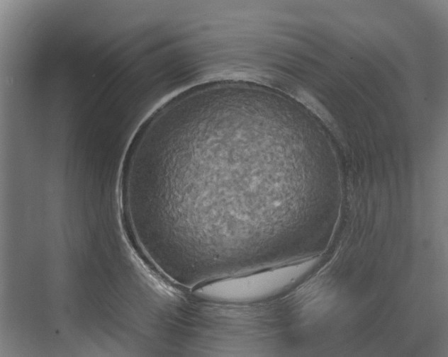 X0000072521028200607211418