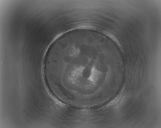 X0000072521029200607211418