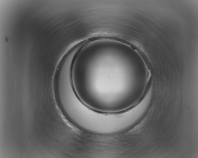 X0000072521030200607211418