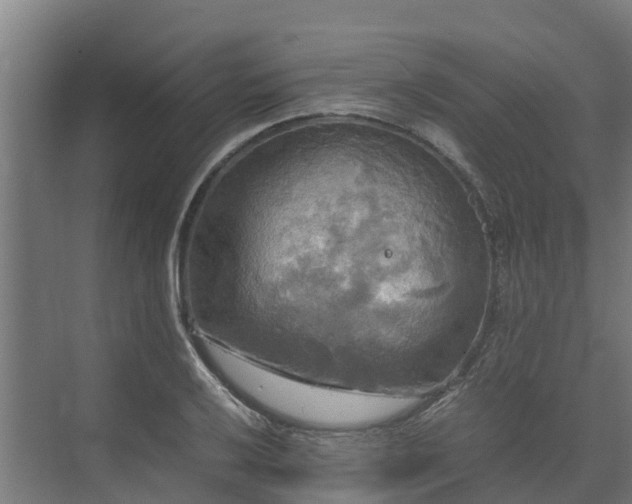 X0000072521032200607211418