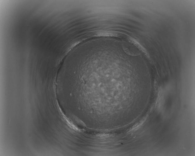 X0000072521033200607211418