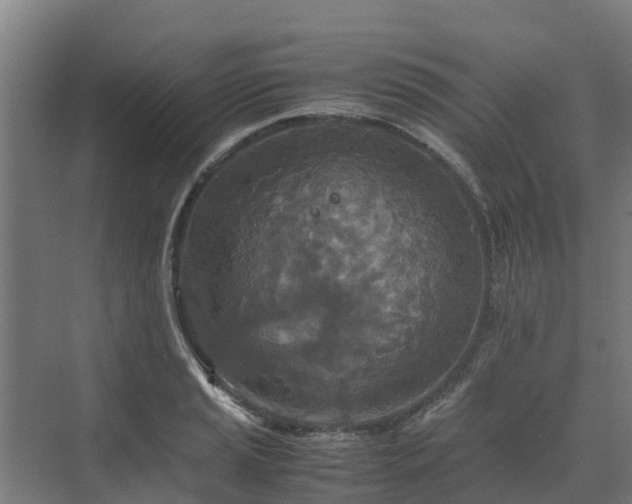 X0000072521037200607211418