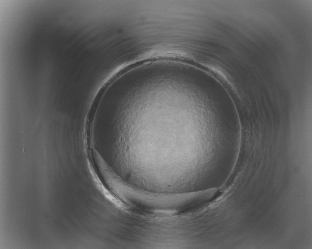 X0000072521038200607211418