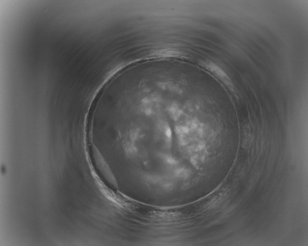 X0000072521039200607211418