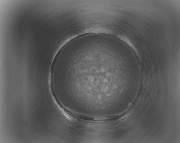 X0000072521040200607211418