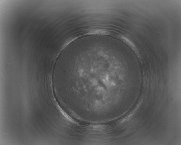 X0000072521041200607211418