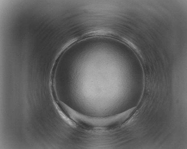 X0000072521042200607211418