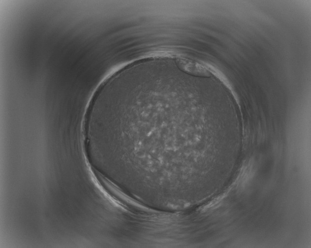 X0000072521045200607211418