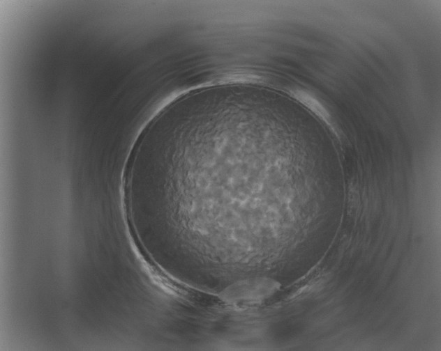 X0000072521047200607211418