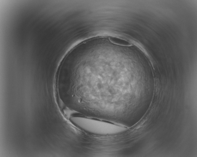 X0000072521048200607211418