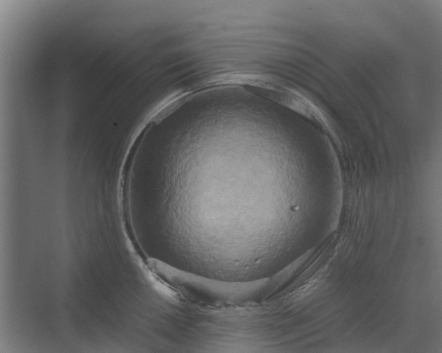 X0000072521050200607211418