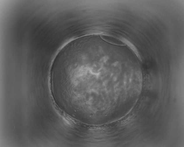 X0000072521051200607211418