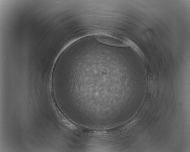 X0000072521052200607211418