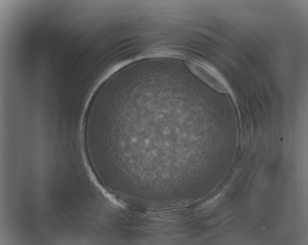 X0000072521053200607211418