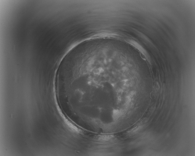 X0000072521055200607211418