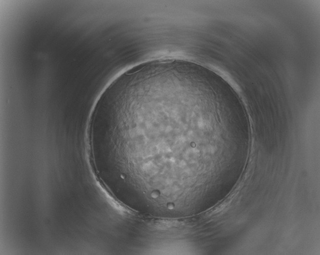 X0000072521056200607211418